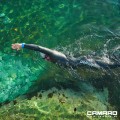 Męski skafander triathlonowy Blackpulsor Pro  - Camaro 6