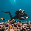 Skafander męski Thermocline - Fourth Element  8
