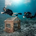 Spodenki damskie Thermocline - Fourth Element 7