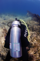 Jacket (BCD) Photon Pro Lady - Oceanic 13