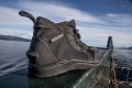 Buty Force 1 - Bare 12