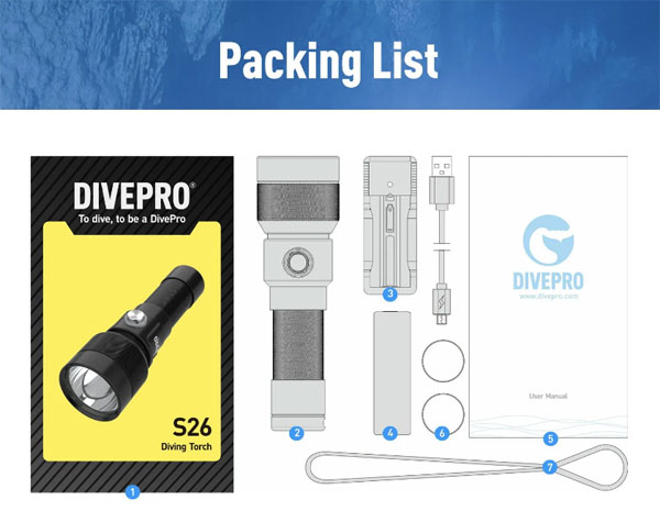 Zestaw z ładowarką i akumulatorem